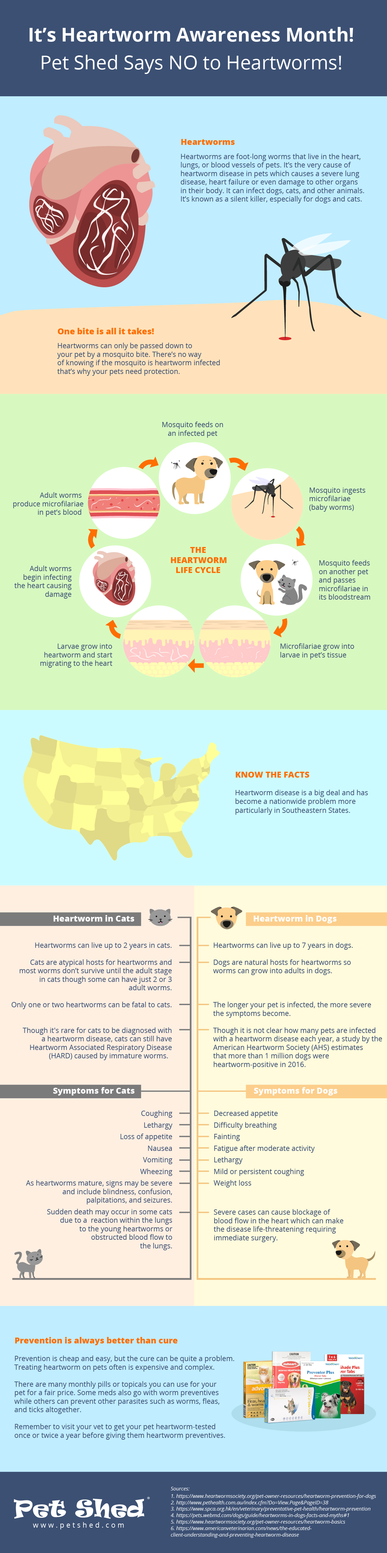 Pet Shed Says NO To Heartworm Disease Infographic