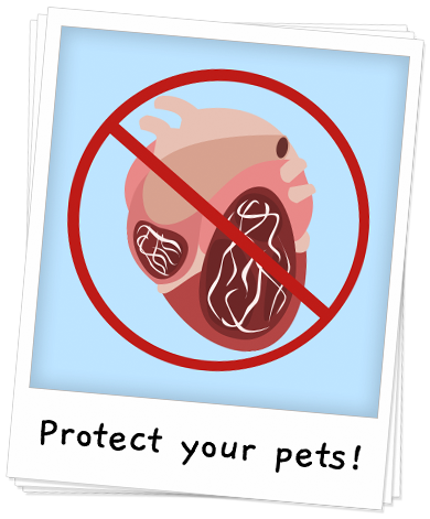 Pet Shed Says NO To Heartworm Disease Banner