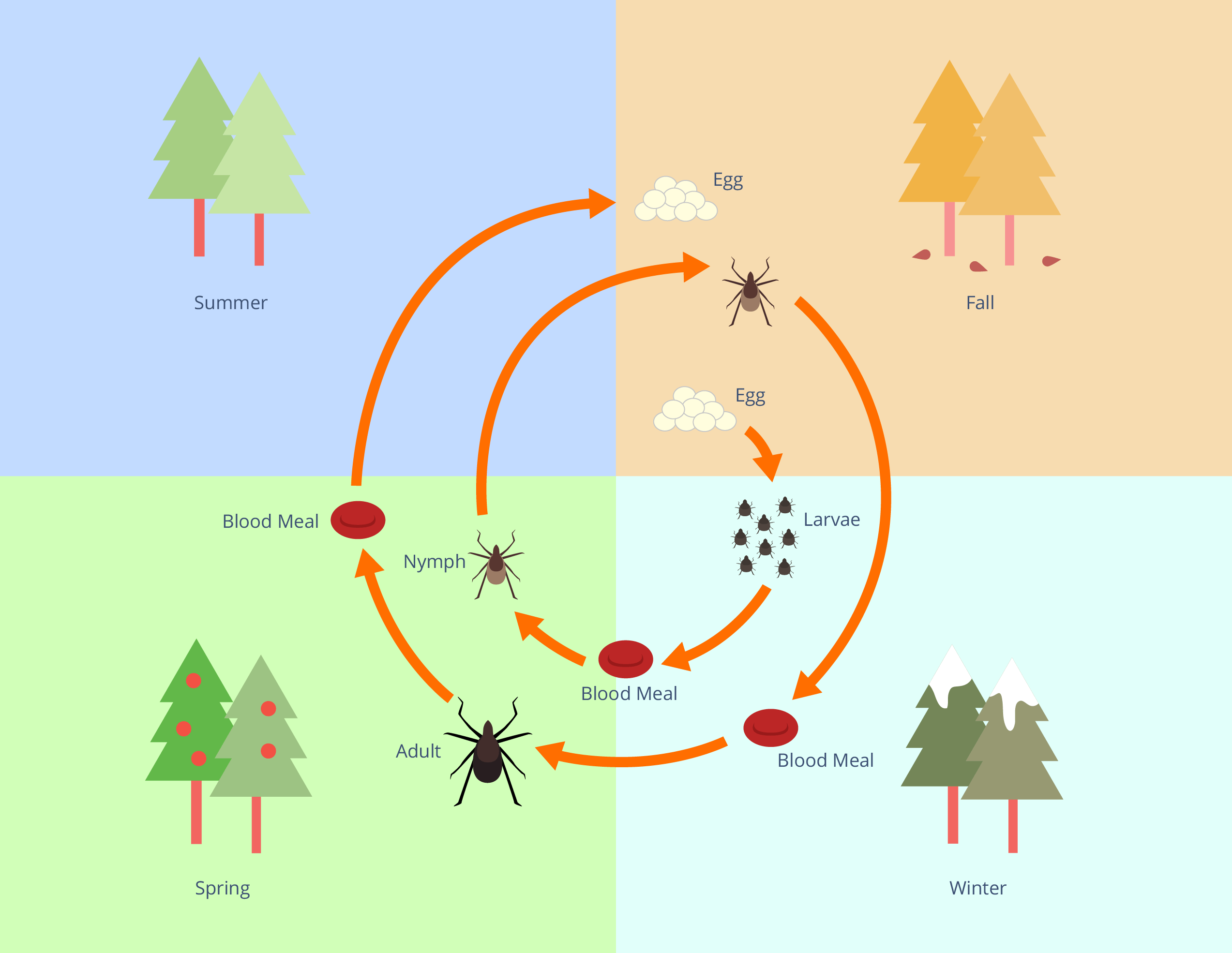 Lyme Disease Graphic 1