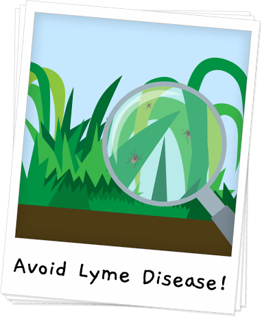 Pet Shed Says NO To Lyme Disease Banner