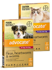 heartworm and dewormer