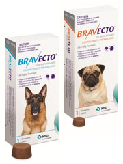 Bravecto Chewable for Dogs