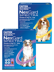 NexGard Spectra