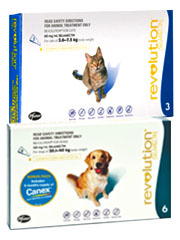 Revolution for Cats & Dogs