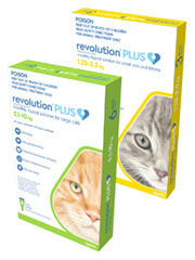 Revolution Plus for Cats