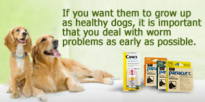 best puppy wormers