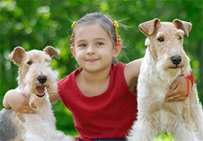 Cat and Dog Behavior