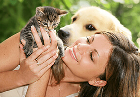 Pet Diet