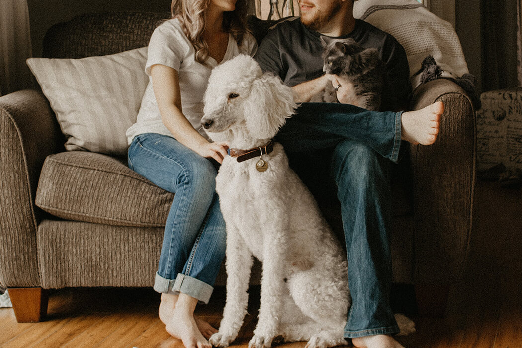 Owners bonding with their cat and dog