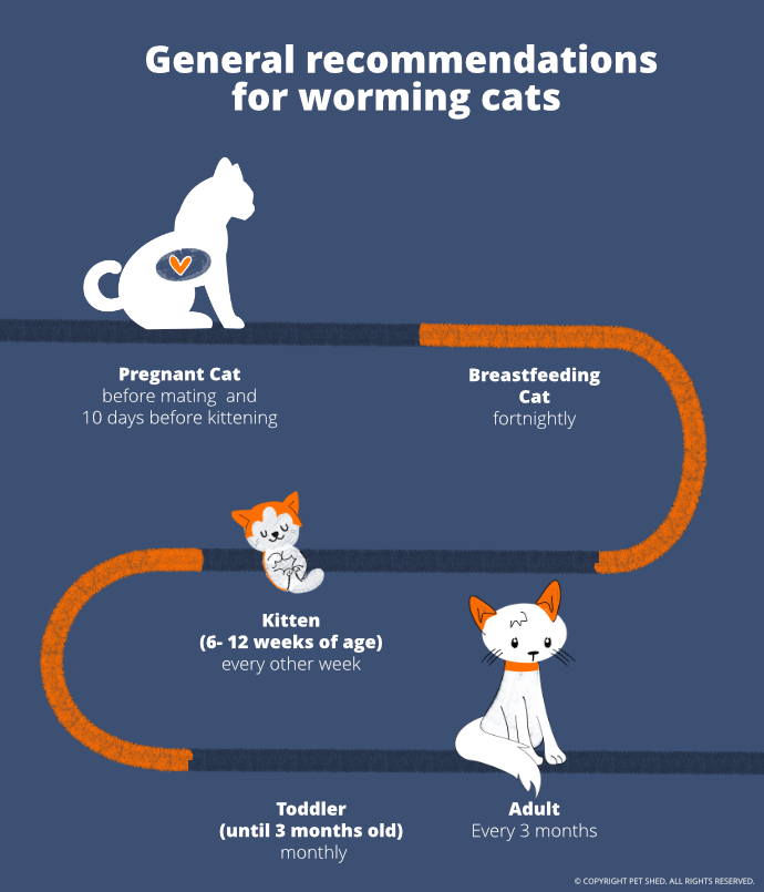 How should I use cat wormers?