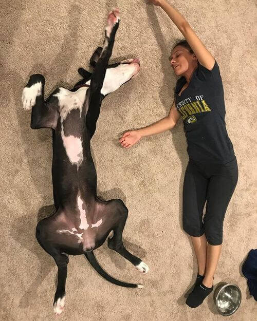 Lisette with Khaleesi