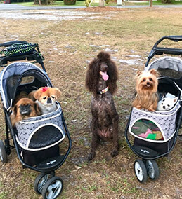Georgeann S. - No social distancing required among furry friend.