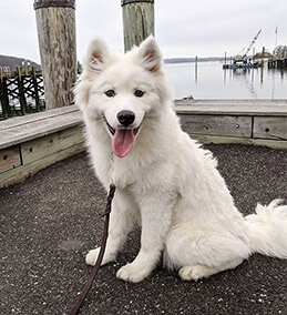 polar.xena - How am so kute I don't know