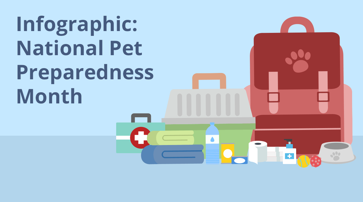 Infographic National Pet Preparedness Month Pet Shed