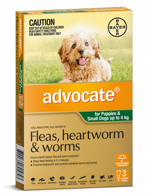 Advantage multi for heartworm positive dogs outlet