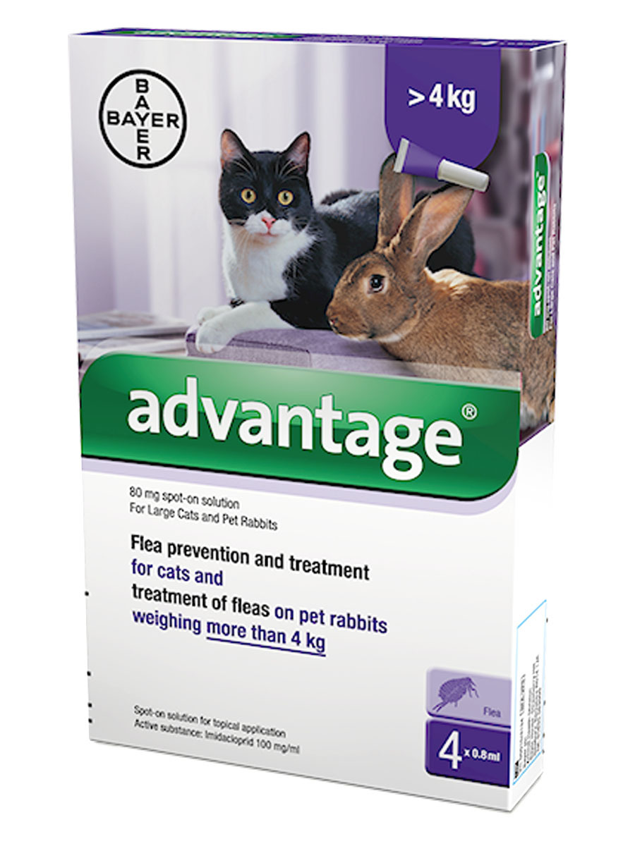 Advantage Flea Control at Pet Shed