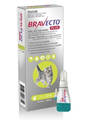 Bravecto Plus Spot On for Cats