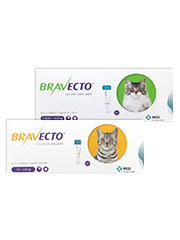 Bravecto Spot On for Cats