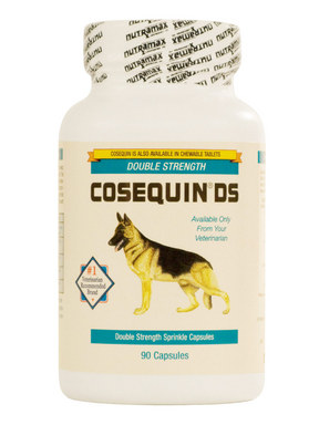 Cosequin DS Capsules