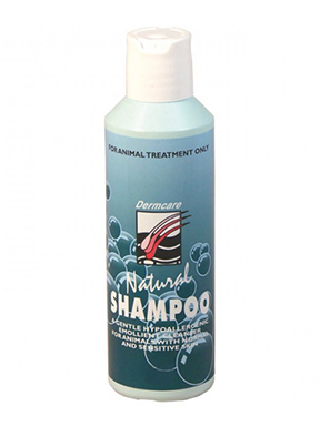 Dermcare Natural Shampoo