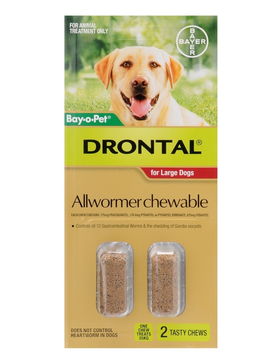 Drontal Allwormer for Dogs at Pet Shed