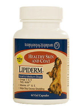 Lipiderm Gel Caps for Dogs