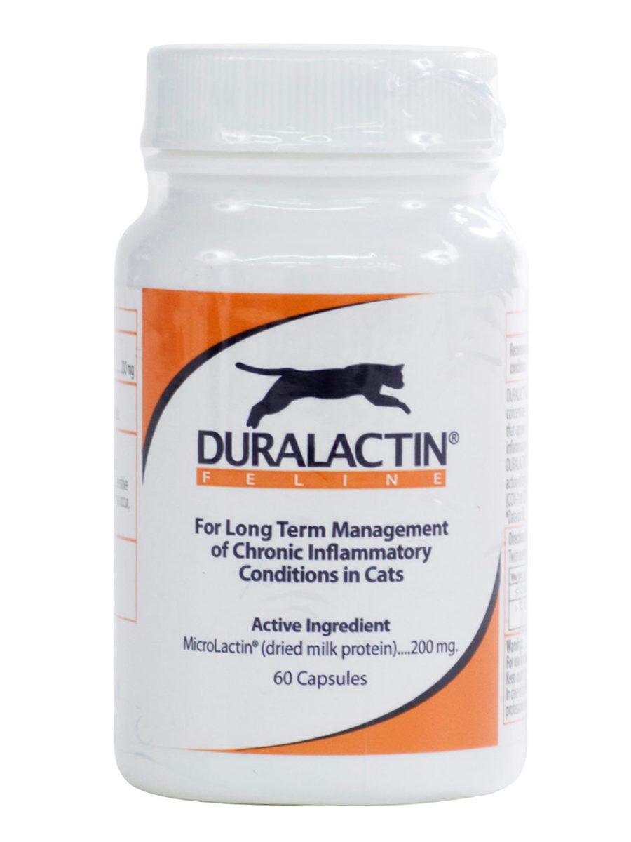 Duralactin Feline at Pet Shed