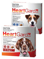 Heartgard Plus Chewables