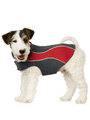 Kakadu Pet Explorer Double Fleece, in Colour Flame