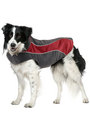 Kakadu Pet Explorer Double Fleece, in Colour Flame