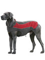 Kakadu Pet Explorer Double Fleece, in Colour Flame