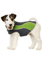 Kakadu Pet Explorer Double Fleece, in Colour Grass