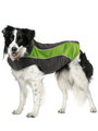 Kakadu Pet Explorer Double Fleece, in Colour Grass