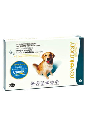revolution for dogs with canex