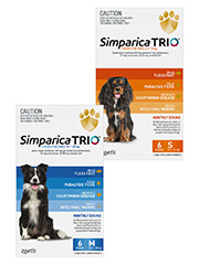 Simparica TRIO