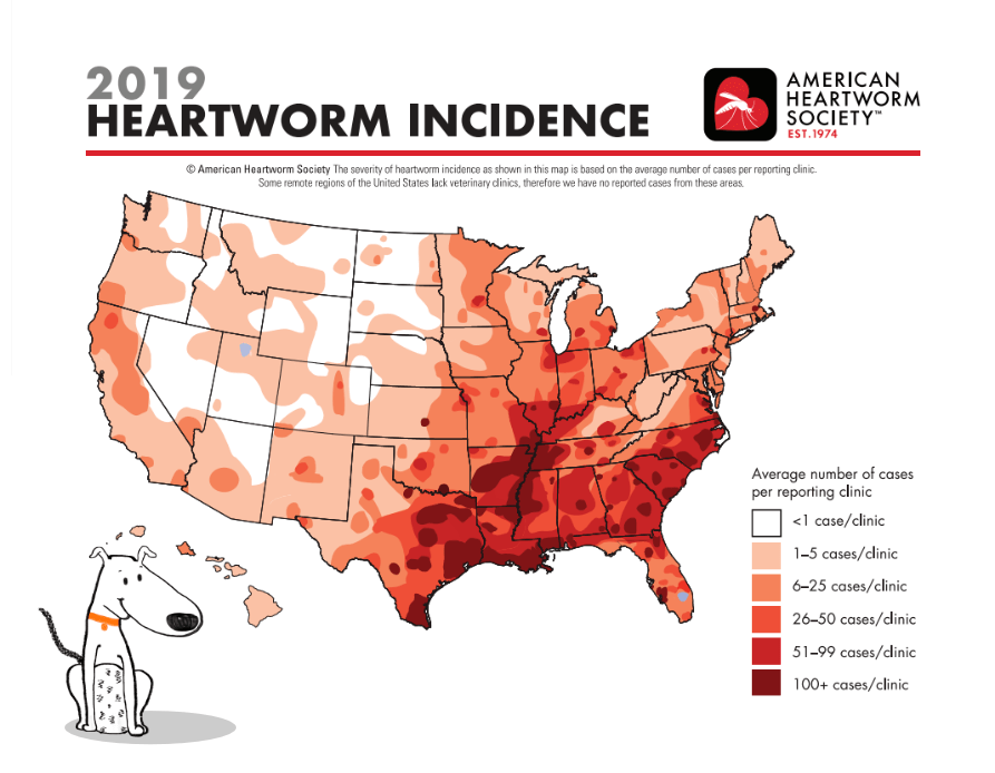 Heartworm in dogs map picture