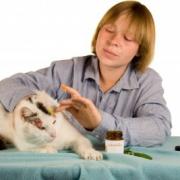 Treating Ringworm in Cats