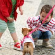 Socialising your Puppy