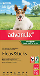 Cube Product Image 5