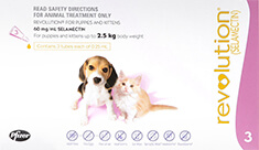Cube Product Image 3